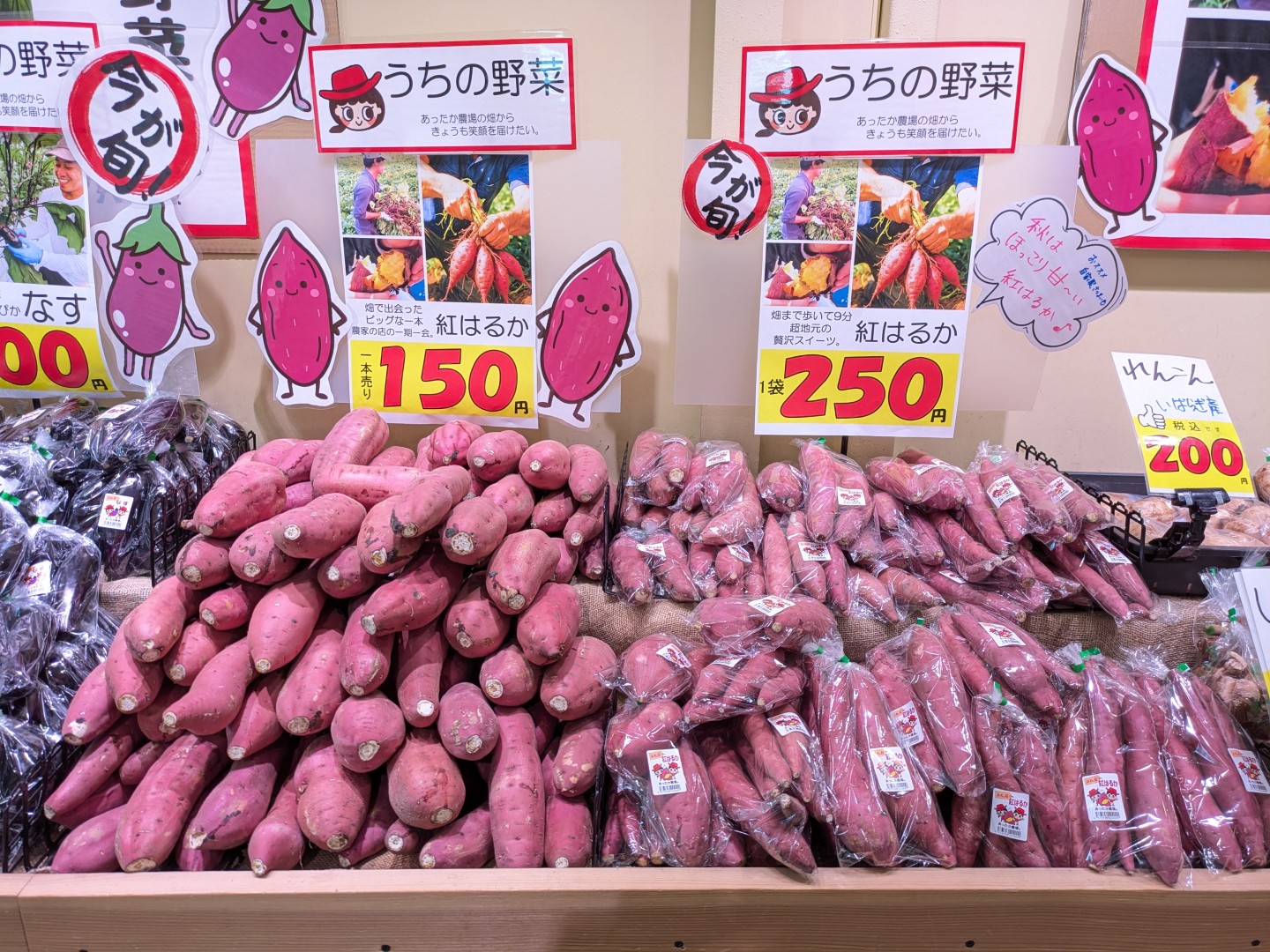 あったか農場の紅はるか