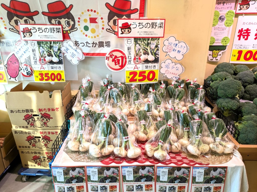 篠原の「新たまねぎ」白色