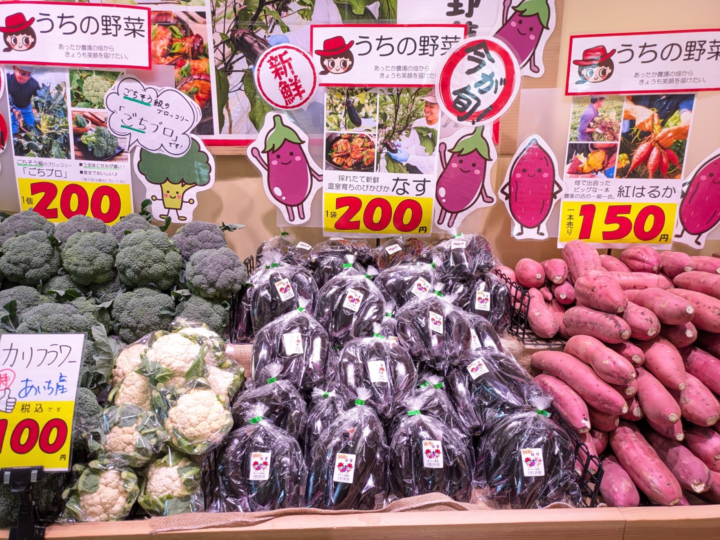 温室美人なすが並ぶ冬の売場