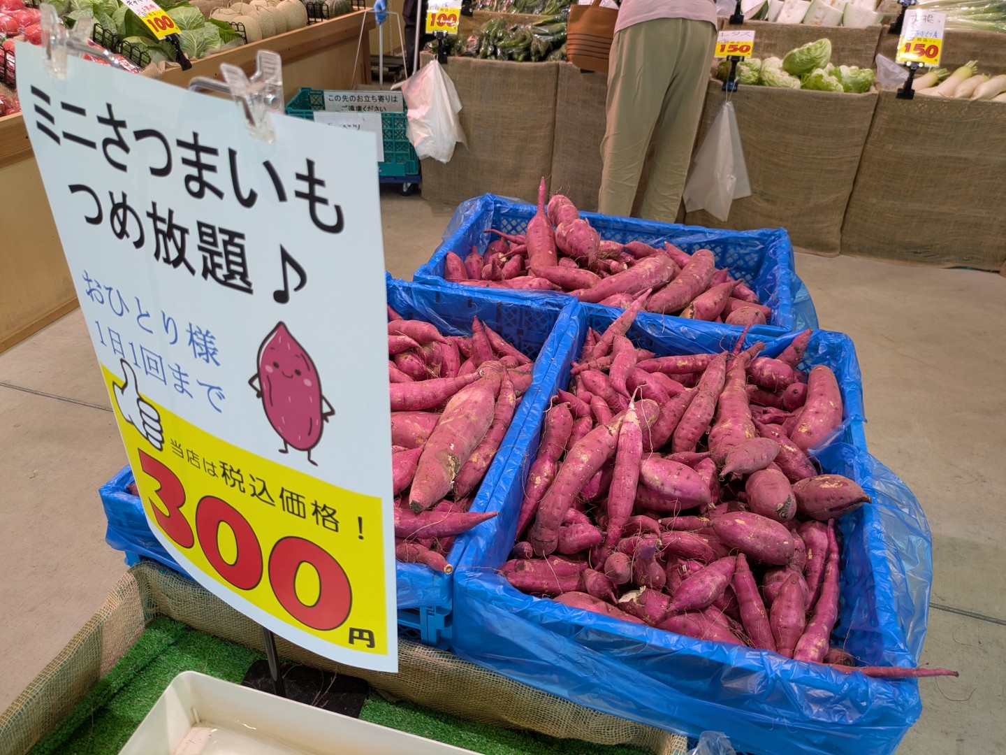 紅はるかの詰め放題