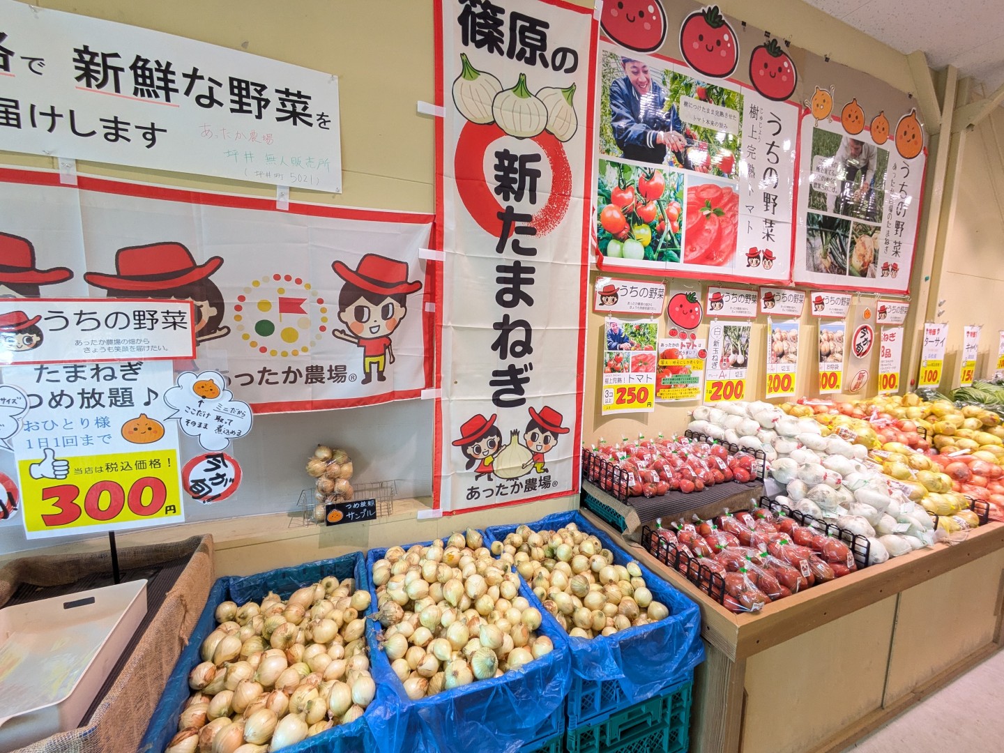 新たまねぎの詰め放題