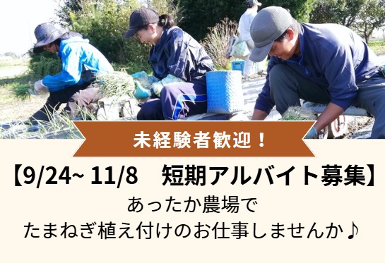 植え付けアルバイト
