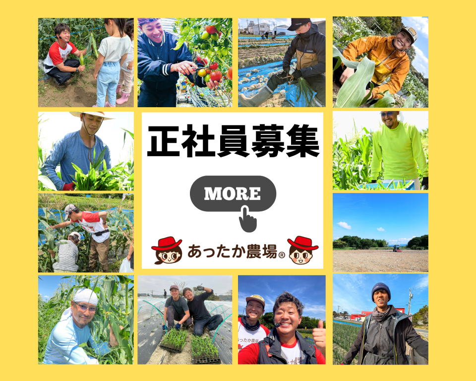 正社員募集