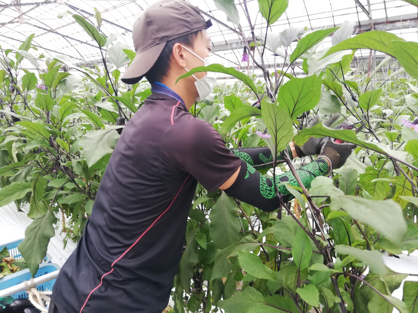 若手スタッフの活躍