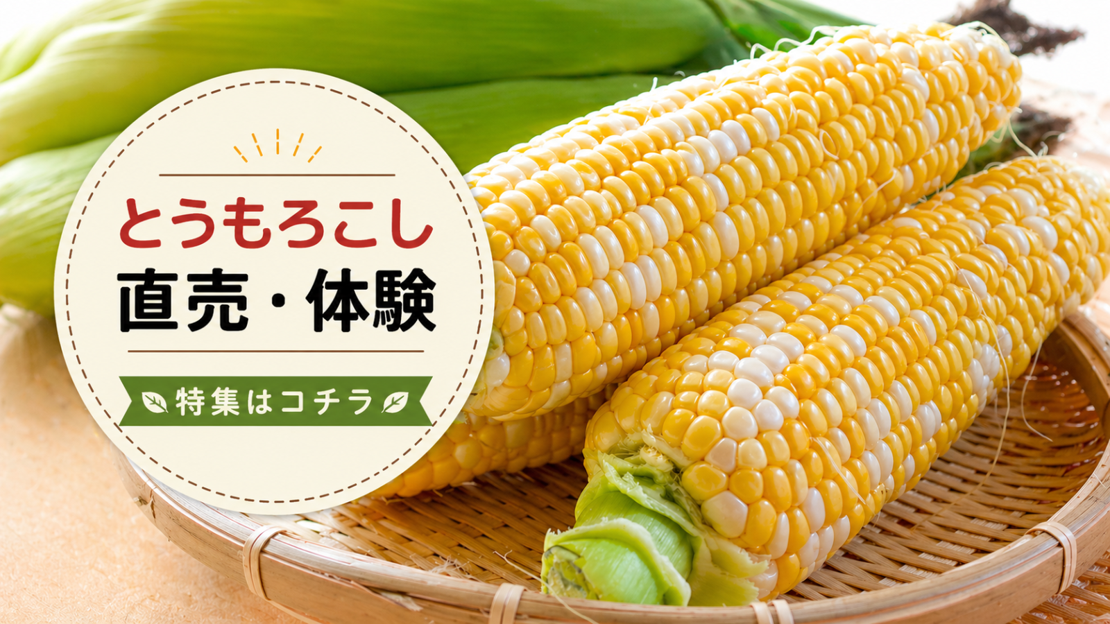 とうもろこし特集はこちら