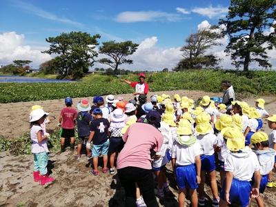 5才園児と「芋ほり体験」♪