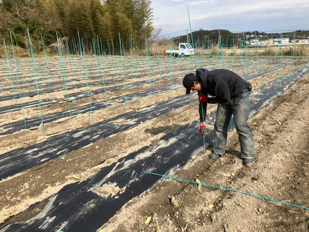 社長が目指すもの⑤ 【生き方に迷う若者へ】20代の「泥臭い経験」は、一生の資産に変わる。自分の人生の土台となる仕事