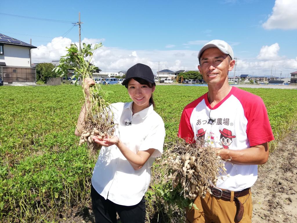 8/26(土)テレビ放送！あったか農場の「遠州落花生」