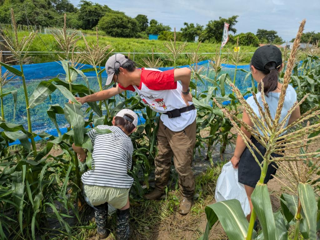 社長の声② あったか農場の「あったかい」はどこから来るの？土と人とのふれあいが生む心のぬくもり  | 2025年11月収録（浜松市採用動画インタビュー）| 浜松市 農業求人
