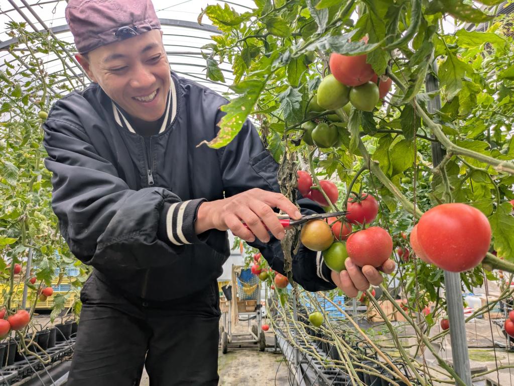社長の声③ 未経験でも大丈夫！法人経営の『あったか農場』で安心して働ける３つの理由 | 2025年11月収録（浜松市採用動画インタビュー）| 浜松市 農業求人