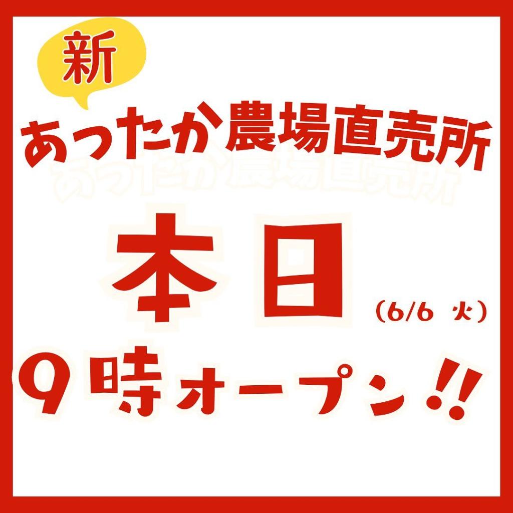 いよいよ、本日9時オープンです！